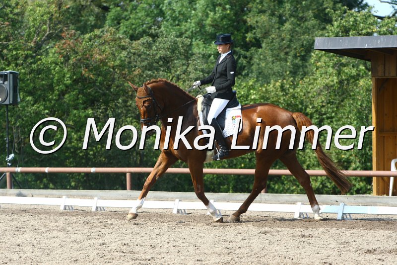 109M6294_Amicelli_Nachwuchs_Dress S.JPG